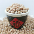 best quality chickpea/chick pea market price HPS